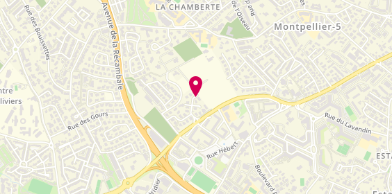 Plan de Ambulances Grand Sud, 150 Rue Fabre d'Eglantine, 34000 Montpellier