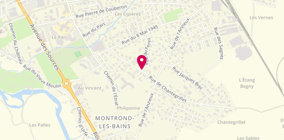 Plan de Ambulance VSL Montrondais, Rue Chantegrillet, 42210 Montrond-les-Bains