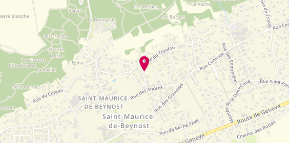 Plan de Taxi des Portes de l'Ain, 6 Rue de la Genetière, 01700 Saint-Maurice-de-Beynost