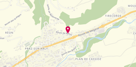 Plan de Arvin-Berod Sébastien, 40 Route des Rafforts, 74120 Praz-sur-Arly