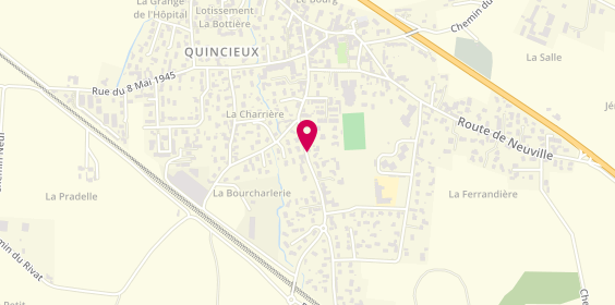 Plan de Villain Noël, 1106 Route Chasselay, 69650 Quincieux