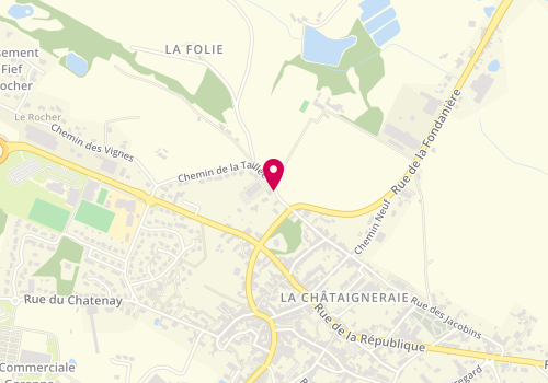 Plan de Ambulances Unies, 21 Rue Mal de Lattre de Tassigny, 85120 La Châtaigneraie