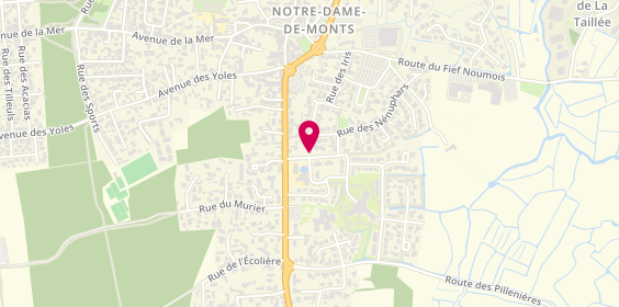 Plan de Ambulances et Taxis Notre Dame, 3 Rue Champs, 85690 Notre-Dame-de-Monts