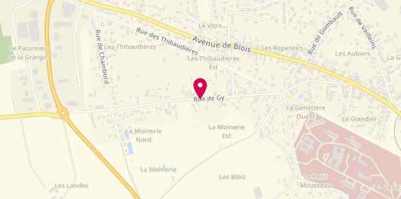 Plan de Taxi Martin, 59 Rue de Gy, 41200 Romorantin-Lanthenay