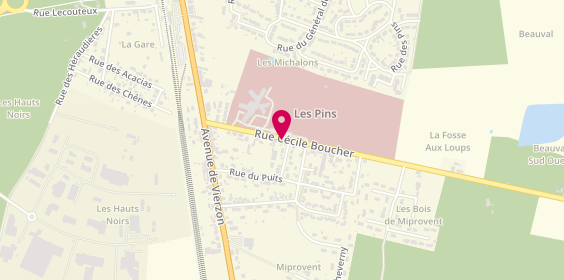 Plan de Les Ambulances de Sologne, 30 Rue Cécile Boucher, 41600 Lamotte-Beuvron