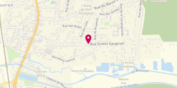 Plan de Taxi du Bourg Lamottois, 55 Rue Gaugiran, 41600 Lamotte-Beuvron