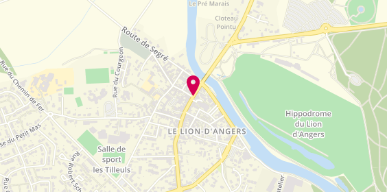 Plan de Bizot Christian, 16 Place Champ de Foire, 49220 Le Lion-d'Angers