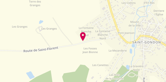 Plan de Hep Taxi, 29 Route de Saint-Florent, 45500 Saint-Gondon