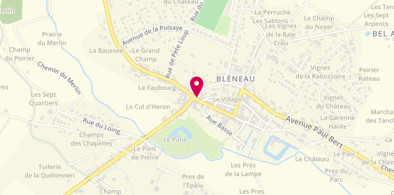 Plan de Ambulances Terres de l'Yonne SARL, 34 Rue Orléans, 89220 Bléneau