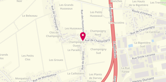 Plan de Taxi Jamain, 29 Rue de Champoigny, 45140 Ingré