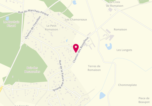 Plan de Taxi Lagarde Jocelyne, 15 Chemin de Chommeplate, 45260 Chailly-en-Gâtinais