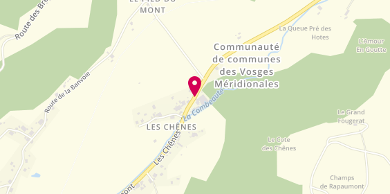 Plan de Flot Régis, 2 Les Chênes, 88340 Girmont-Val-d'Ajol